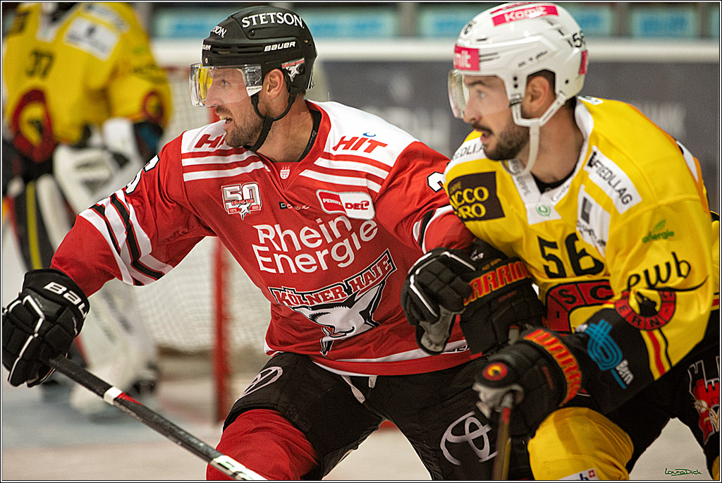 PENNY DEL;  Testspiel 2 Koelner Haie- SC Bern; Koeln, 20.08.2022